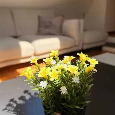 Apartman Historic In The Heart Of